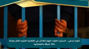 تنويه رسمي.. السجن المؤبد اليوم لنقاش في القضية المثيرة لقتل زوجته بـ120 جنيهًا بالعمرانية